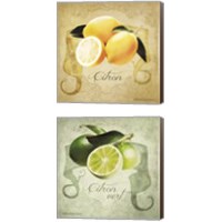 Framed Vintage Lemons & Limes 2 Piece Canvas Print Set