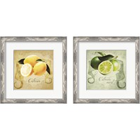 Framed 'Vintage Lemons & Limes 2 Piece Framed Art Print Set' border=