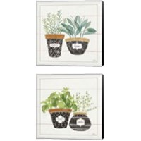 Framed Fine Herbs 2 Piece Canvas Print Set