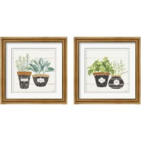 Framed Fine Herbs 2 Piece Framed Art Print Set