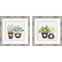Framed 'Fine Herbs 2 Piece Framed Art Print Set' border=