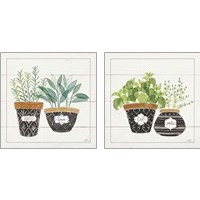 Framed 'Fine Herbs 2 Piece Art Print Set' border=