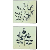 Framed 'Botanical Study Sage 2 Piece Canvas Print Set' border=