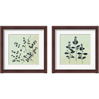 Framed Botanical Study Sage 2 Piece Framed Art Print Set