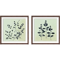 Framed Botanical Study Sage 2 Piece Framed Art Print Set