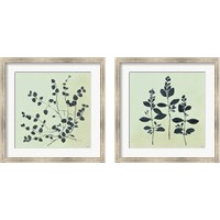 Framed 'Botanical Study Sage 2 Piece Framed Art Print Set' border=