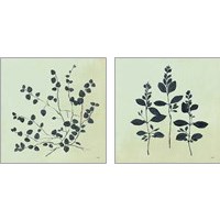 Framed 'Botanical Study Sage 2 Piece Art Print Set' border=