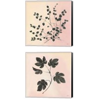 Framed 'Botanical Study Blush 2 Piece Canvas Print Set' border=