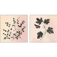 Framed Botanical Study Blush 2 Piece Art Print Set