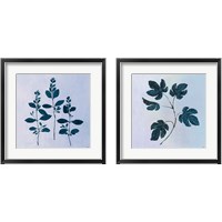 Framed 'Botanical StudyBlue 2 Piece Framed Art Print Set' border=