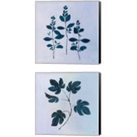 Framed 'Botanical StudyBlue 2 Piece Canvas Print Set' border=