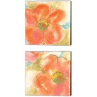 Framed Coral Poppy  2 Piece Canvas Print Set
