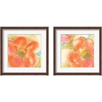 Framed 'Coral Poppy  2 Piece Framed Art Print Set' border=