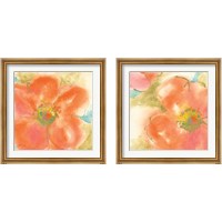 Framed 'Coral Poppy  2 Piece Framed Art Print Set' border=