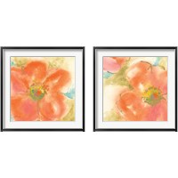 Framed Coral Poppy  2 Piece Framed Art Print Set