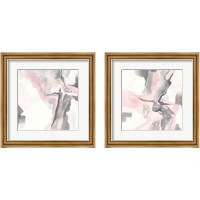 Framed 'Blushing Grey 2 Piece Framed Art Print Set' border=
