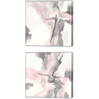 Framed 'Blushing Grey 2 Piece Canvas Print Set' border=