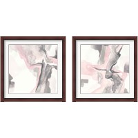 Framed 'Blushing Grey 2 Piece Framed Art Print Set' border=
