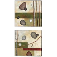 Framed 'Sticks and Stones 2 Piece Canvas Print Set' border=