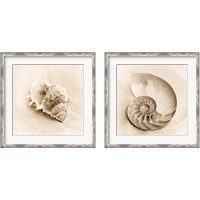 Framed 'Il Oceano 2 Piece Framed Art Print Set' border=