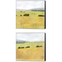 Framed 'Soft Fieldscape 2 Piece Canvas Print Set' border=