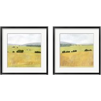 Framed 'Soft Fieldscape 2 Piece Framed Art Print Set' border=