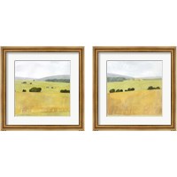 Framed Soft Fieldscape 2 Piece Framed Art Print Set