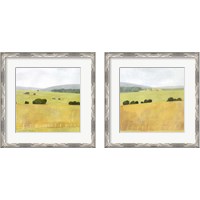 Framed 'Soft Fieldscape 2 Piece Framed Art Print Set' border=