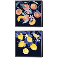 Framed 'Fresh Fruit 2 Piece Canvas Print Set' border=
