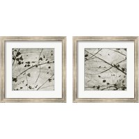 Framed 'Laced Sky 2 Piece Framed Art Print Set' border=