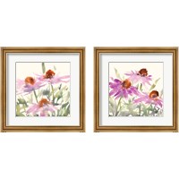 Framed Daisy Garden Views 2 Piece Framed Art Print Set