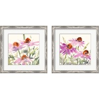 Framed 'Daisy Garden Views 2 Piece Framed Art Print Set' border=