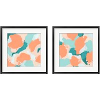 Framed Peach Fizz 2 Piece Framed Art Print Set
