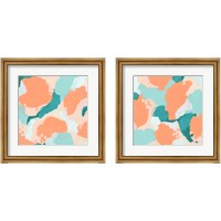 Framed 'Peach Fizz 2 Piece Framed Art Print Set' border=