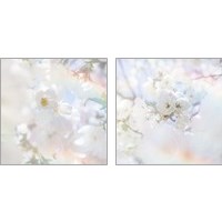 Framed 'Apple Blossoms 2 Piece Art Print Set' border=