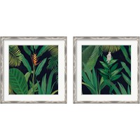 Framed 'Dramatic Tropical 2 Piece Framed Art Print Set' border=