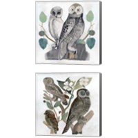Framed 'Traditional Owls 2 Piece Canvas Print Set' border=