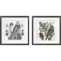 Framed 'Traditional Owls 2 Piece Framed Art Print Set' border=