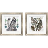 Framed Traditional Owls 2 Piece Framed Art Print Set