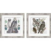 Framed 'Traditional Owls 2 Piece Framed Art Print Set' border=