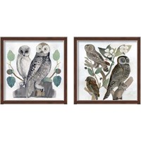 Framed 'Traditional Owls 2 Piece Framed Art Print Set' border=