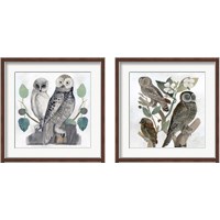 Framed Traditional Owls 2 Piece Framed Art Print Set