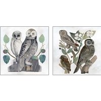 Framed 'Traditional Owls 2 Piece Art Print Set' border=