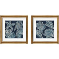 Framed 'Marine Shells 2 Piece Framed Art Print Set' border=