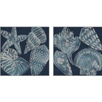 Framed 'Marine Shells 2 Piece Art Print Set' border=