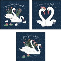 Framed 'Swan Lake 3 Piece Art Print Set' border=