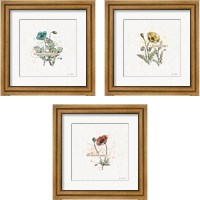 Framed 'Thoughtful Blooms 3 Piece Framed Art Print Set' border=
