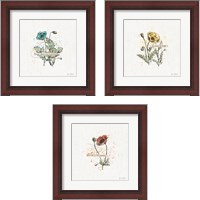 Framed Thoughtful Blooms 3 Piece Framed Art Print Set