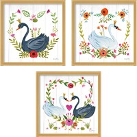 Framed Swan Love 3 Piece Framed Art Print Set