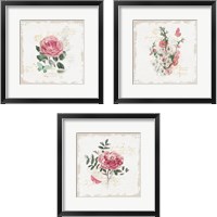 Framed French Romance  3 Piece Framed Art Print Set